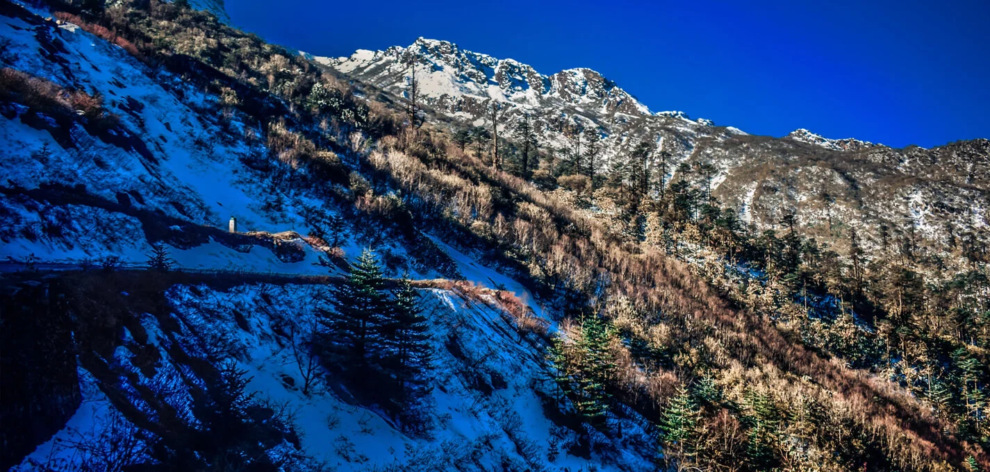 North East Delight with Lachung